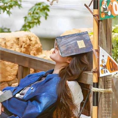 科学怪人对德拉库拉